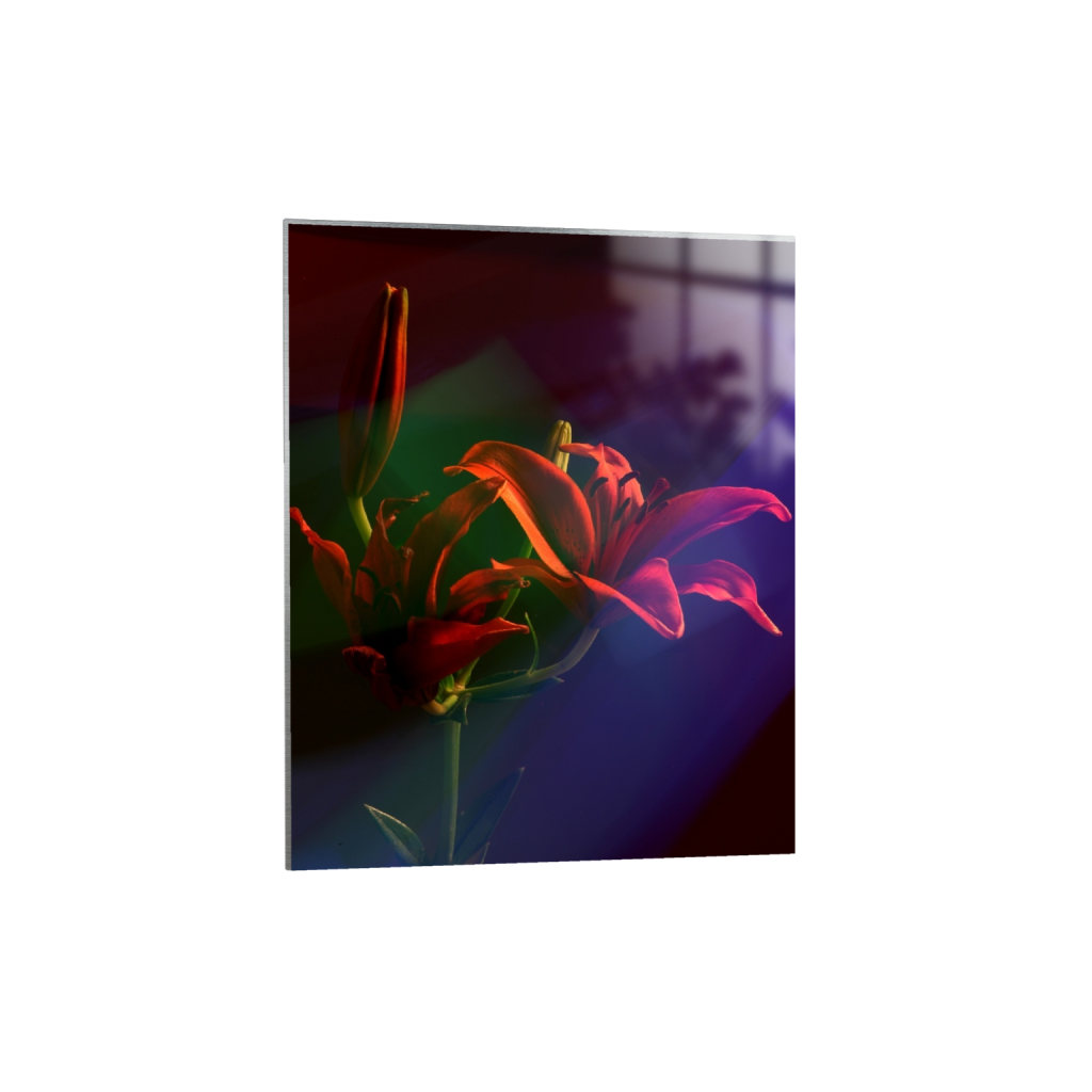 metalprint_rectangle4_5_160_0_3422_4278_0_false_ffffff_0_0.png