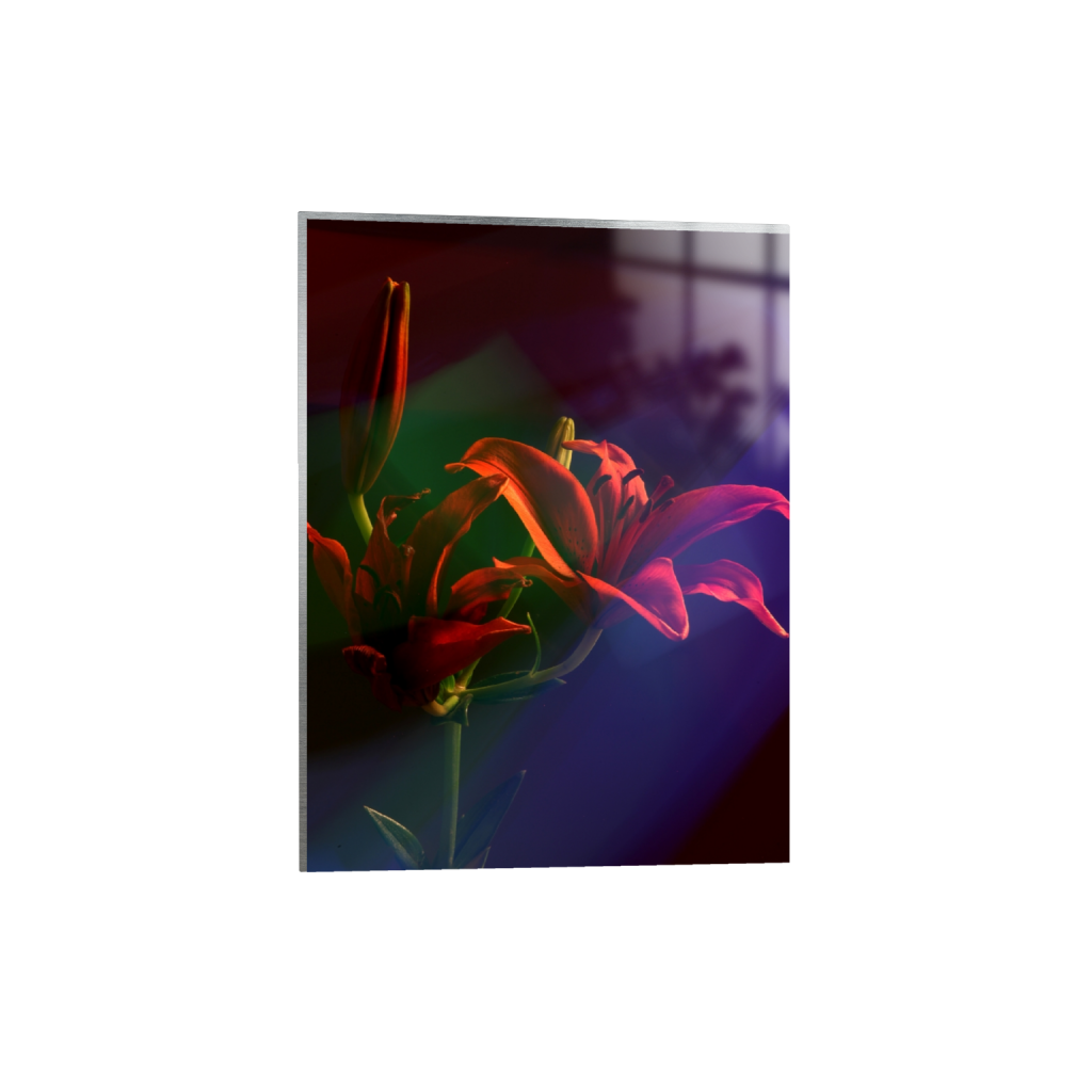 metalprint_rectangle3_4_267_0_3208_4278_0_false_ffffff_0_0.png
