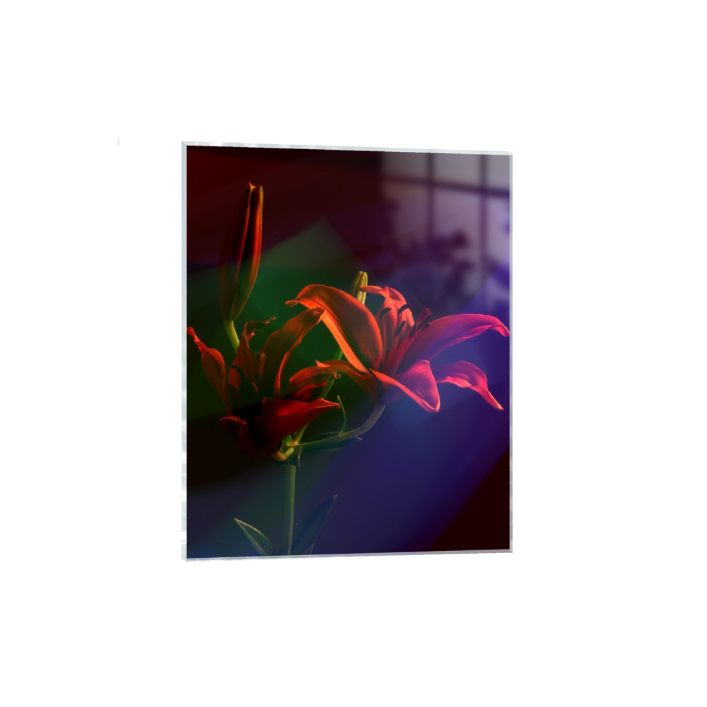 acrylicprint_rectangle4_5_160_0_3422_4278_0_false_ffffff_0_0.png