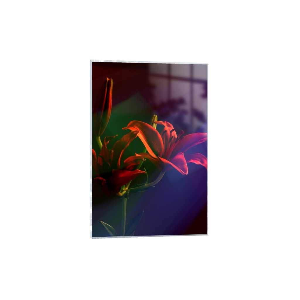 acrylicprint_rectangle2_3_446_0_2852_4278_0_false_ffffff_0_0.png