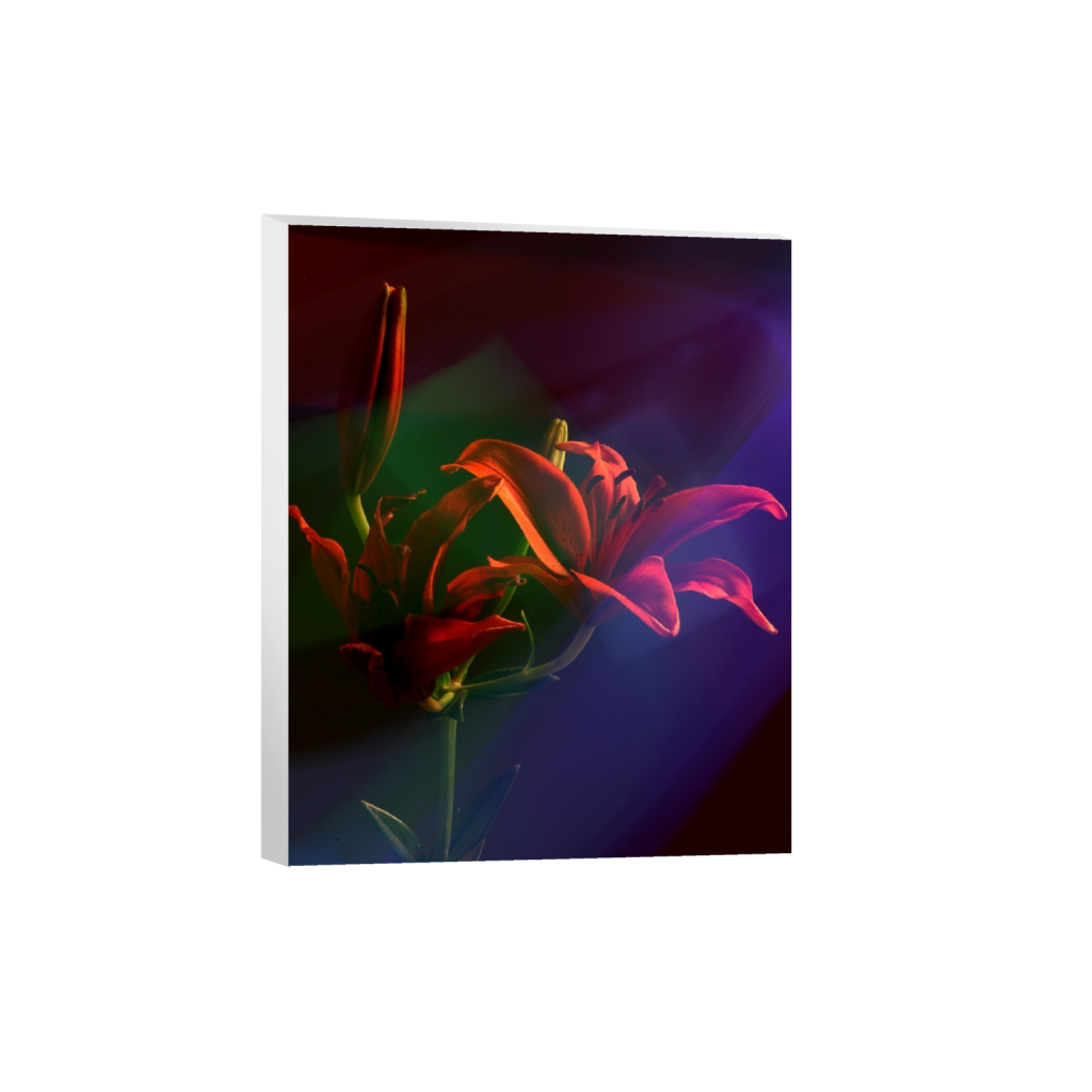 canvas_rectangle4_5_160_0_3422_4278_0_false_ffffff_0_0.png