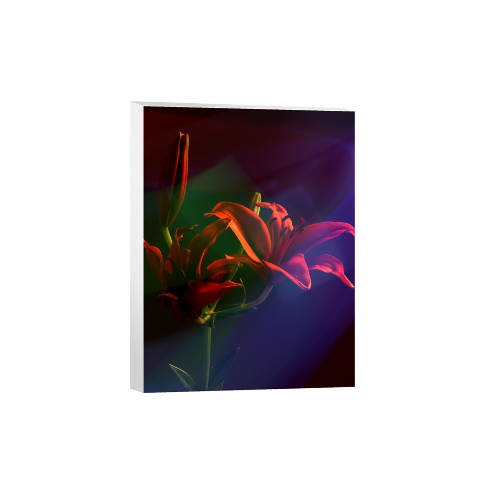 canvas_rectangle3_4_267_0_3208_4278_0_false_ffffff_0_0.png