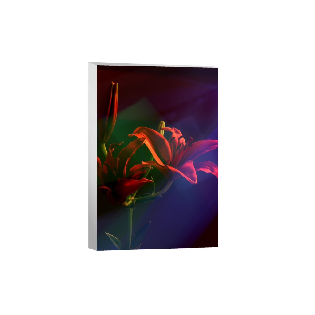 canvas_rectangle2_3_446_0_2852_4278_0_false_ffffff_0_0.png