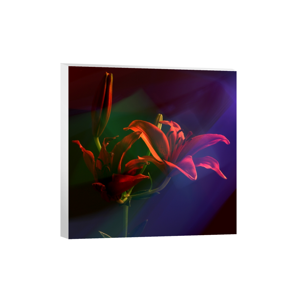 canvas_square_0_267_3744_3744_0_false_ffffff_0_0.png