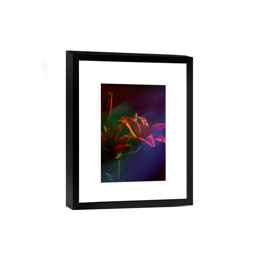 smartframe_rectangle2_3_446_0_2852_4278_0_false_ffffff_0_0.png