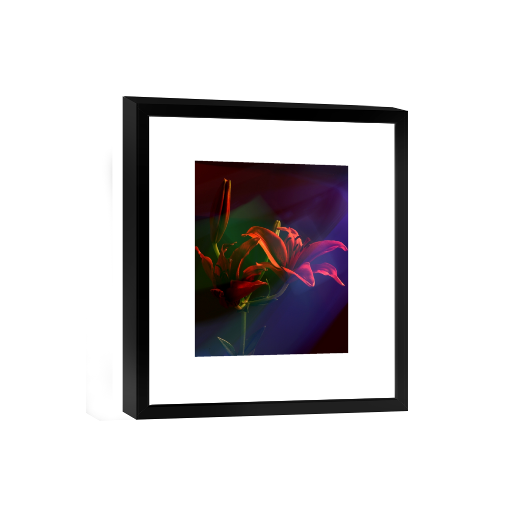 smartframe_rectangle4_5_160_0_3422_4278_0_false_ffffff_0_0.png