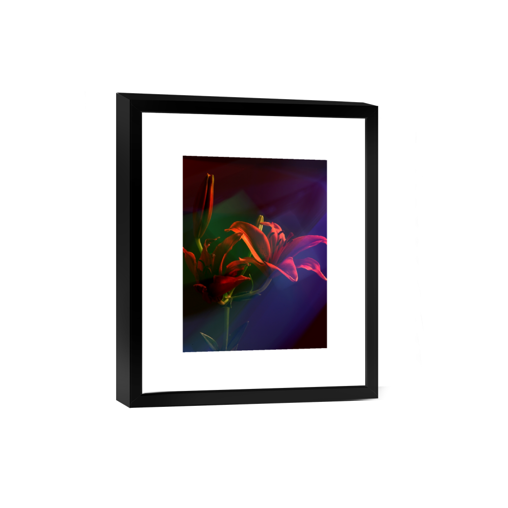 smartframe_rectangle3_4_267_0_3208_4278_0_false_ffffff_0_0.png