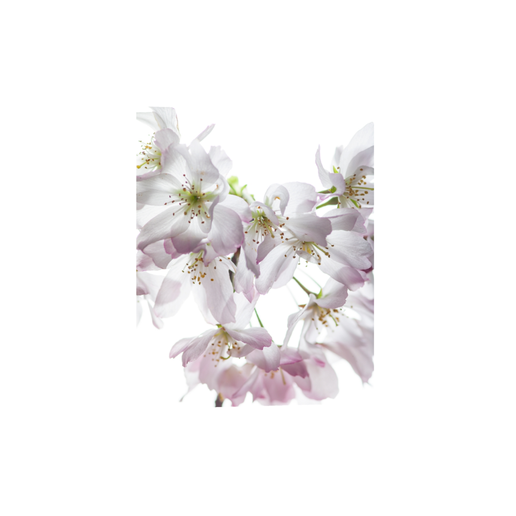 fineartprints_rectangle4_5_0_1000_8000_10000_0_false_ffffff_0_0.png