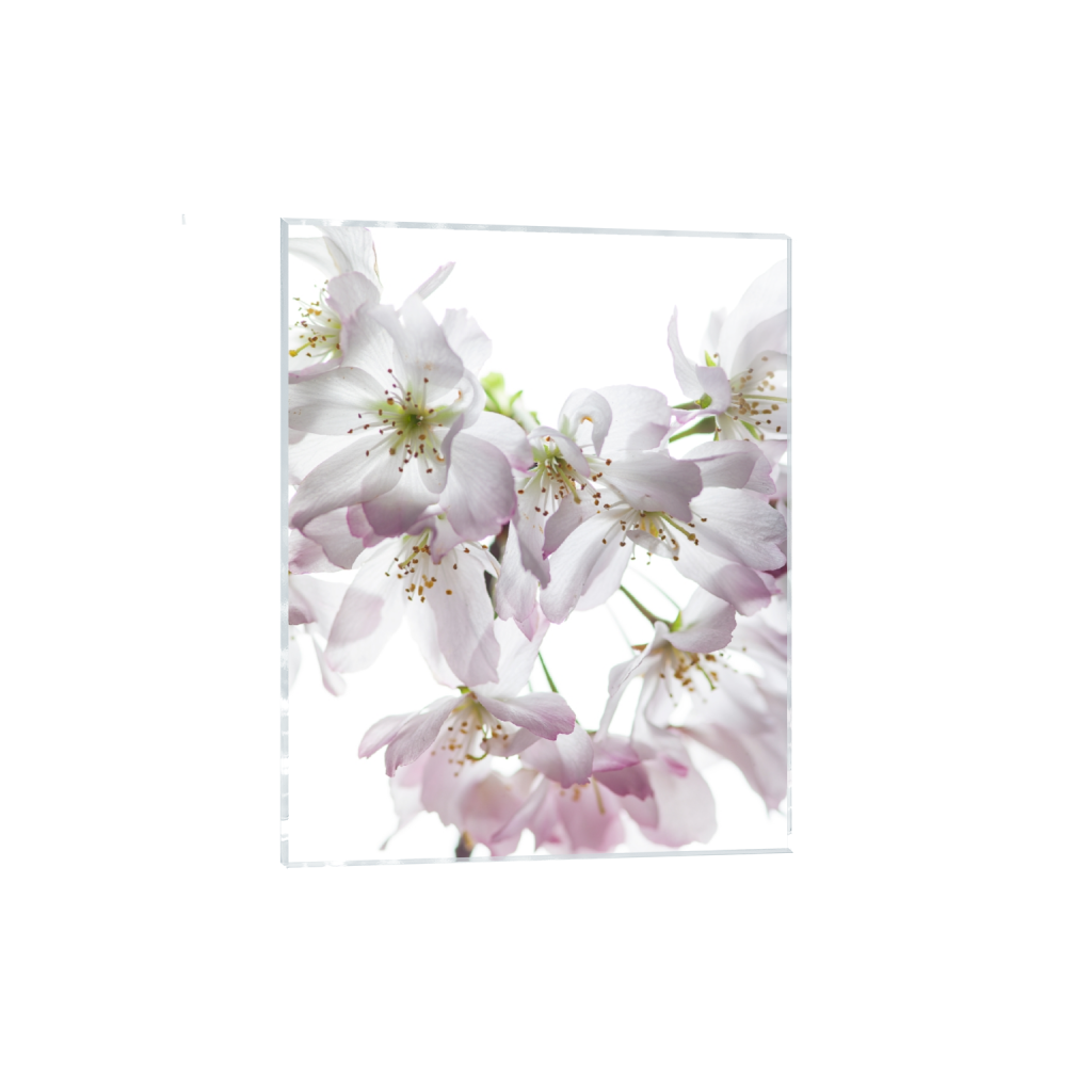 acrylicprint_rectangle4_5_0_1000_8000_10000_0_false_ffffff_0_0.png