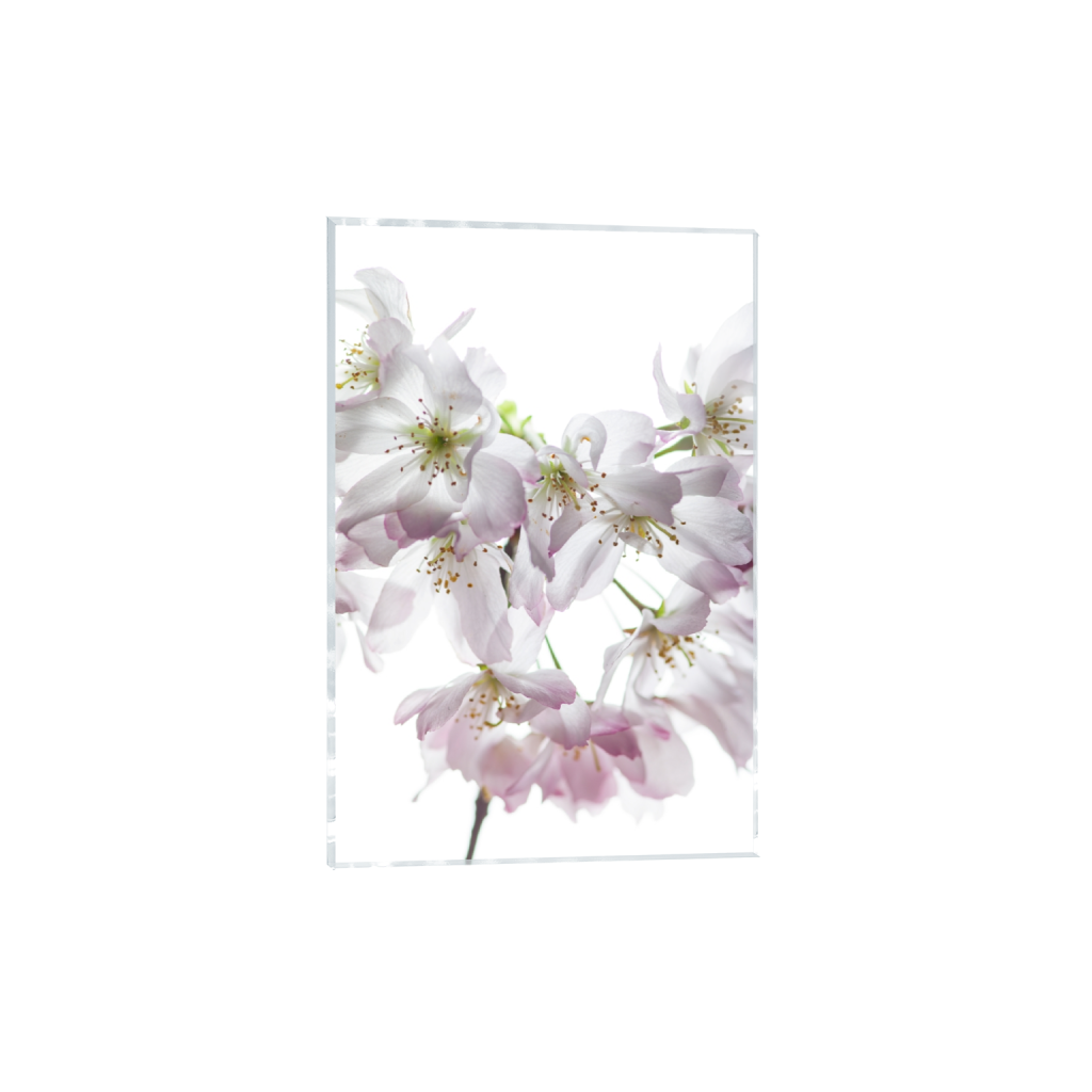 acrylicprint_rectangle2_3_0_0_8000_12000_0_false_ffffff_0_0.png