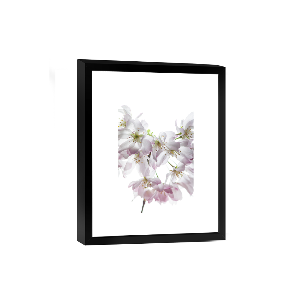 smartframe_rectangle2_3_0_0_8000_12000_0_false_ffffff_0_0.png