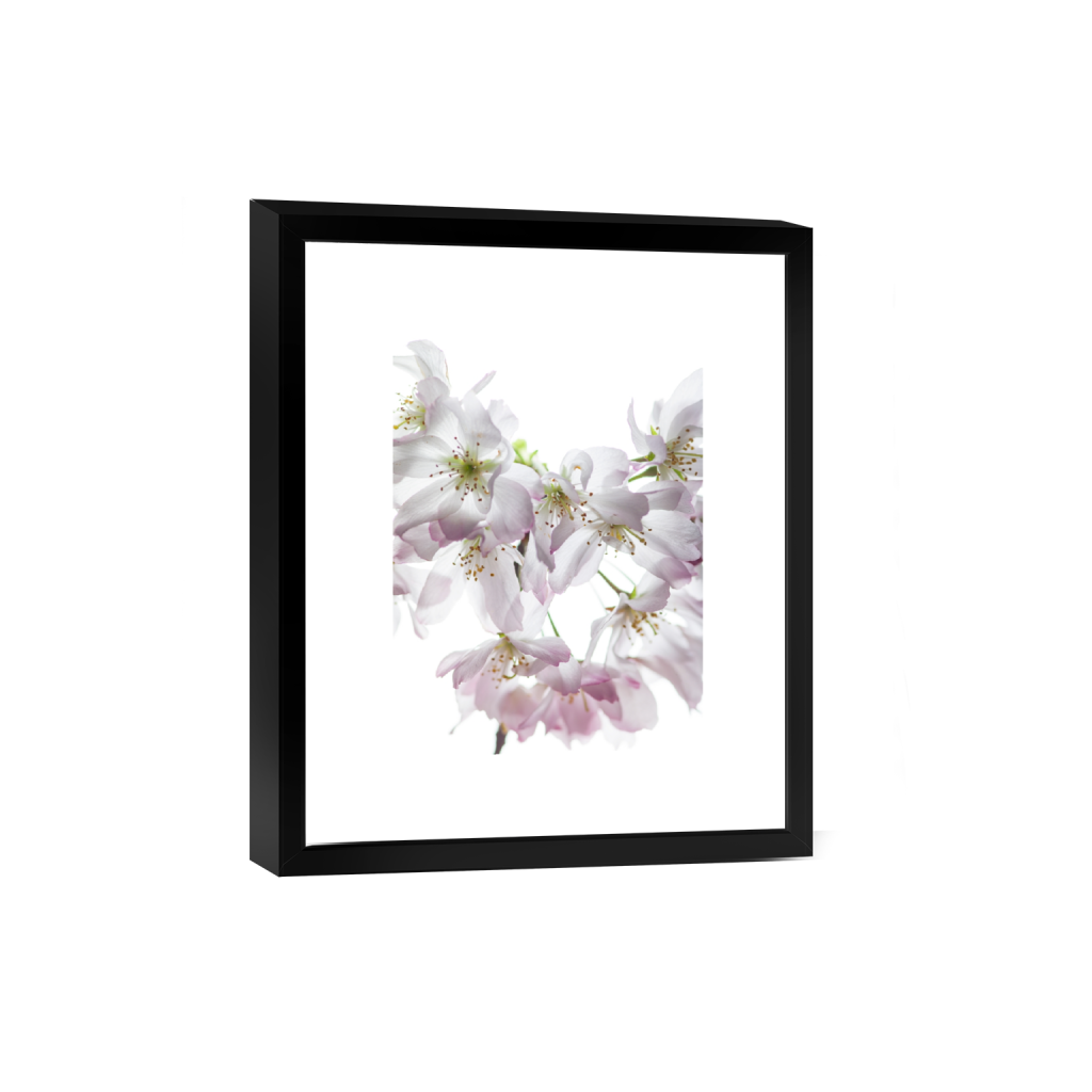 smartframe_rectangle3_4_0_666_8000_10666_0_false_ffffff_0_0.png
