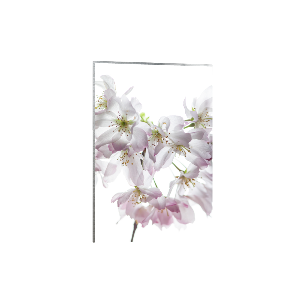 metalprint_rectangle2_3_0_0_8000_12000_0_false_ffffff_0_0.png