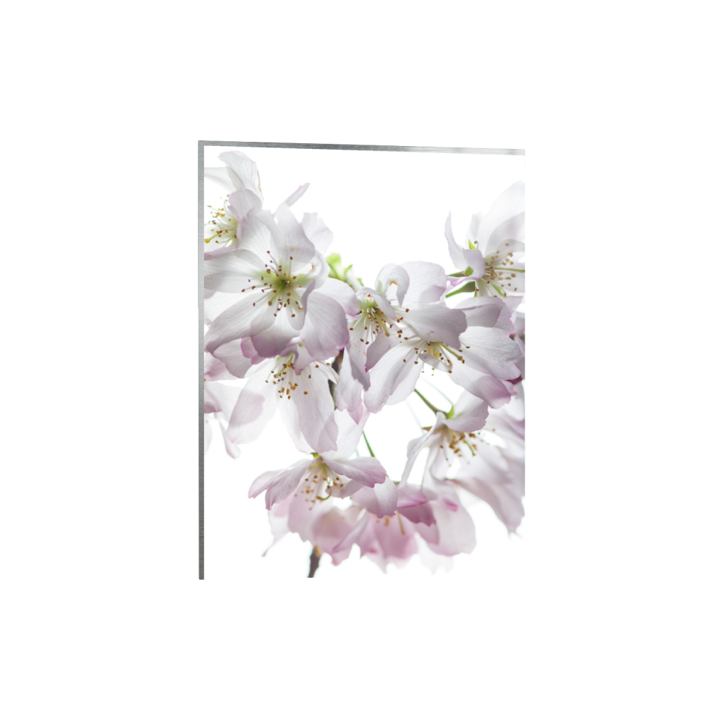 metalprint_rectangle3_4_0_666_8000_10666_0_false_ffffff_0_0.png