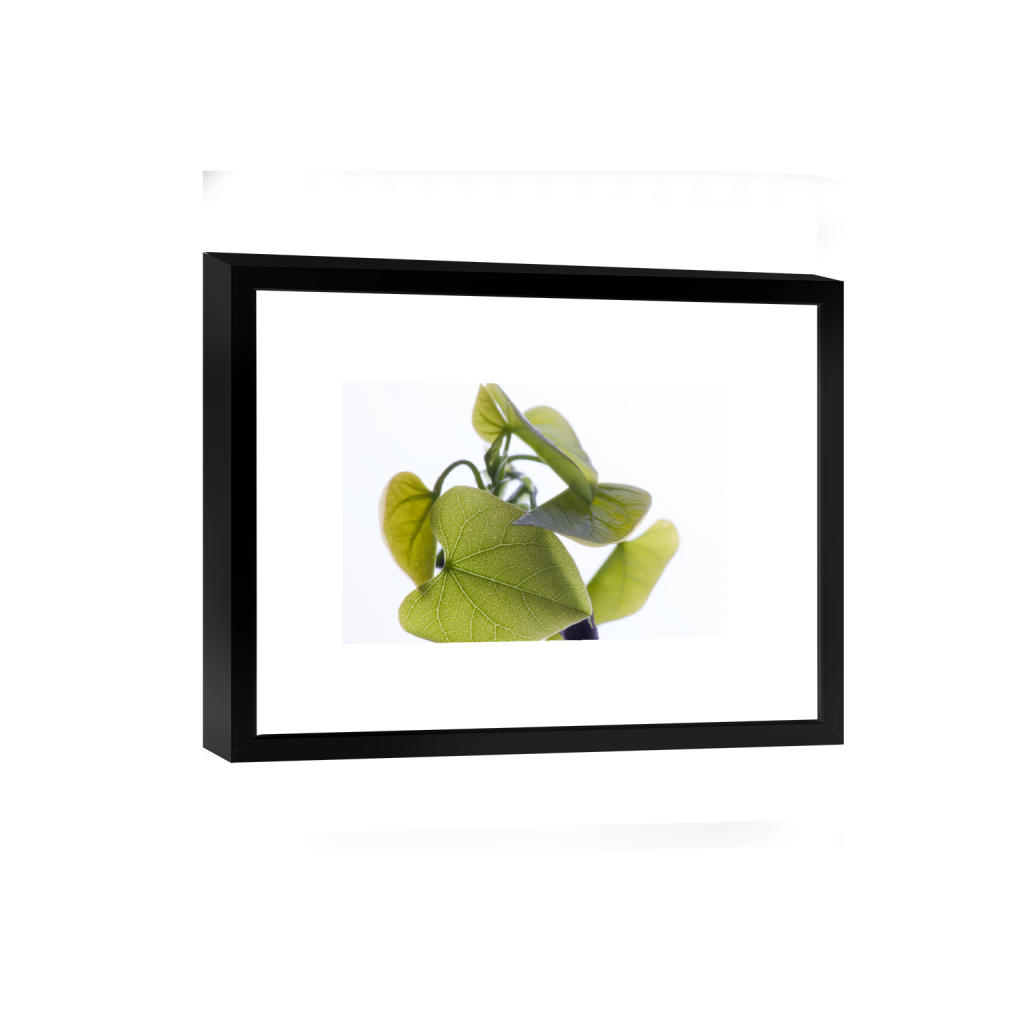 smartframe_rectangle2_3_0_0_12000_8000_0_false_ffffff_0_0.png
