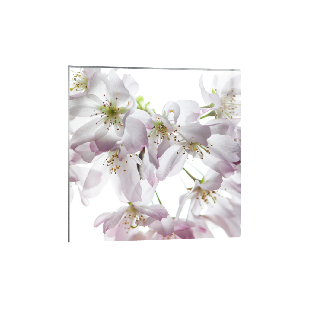 metalprint_square_0_2000_8000_8000_0_false_ffffff_0_0.png
