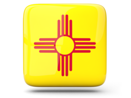 new_mexico_glossy_square_icon_256.png