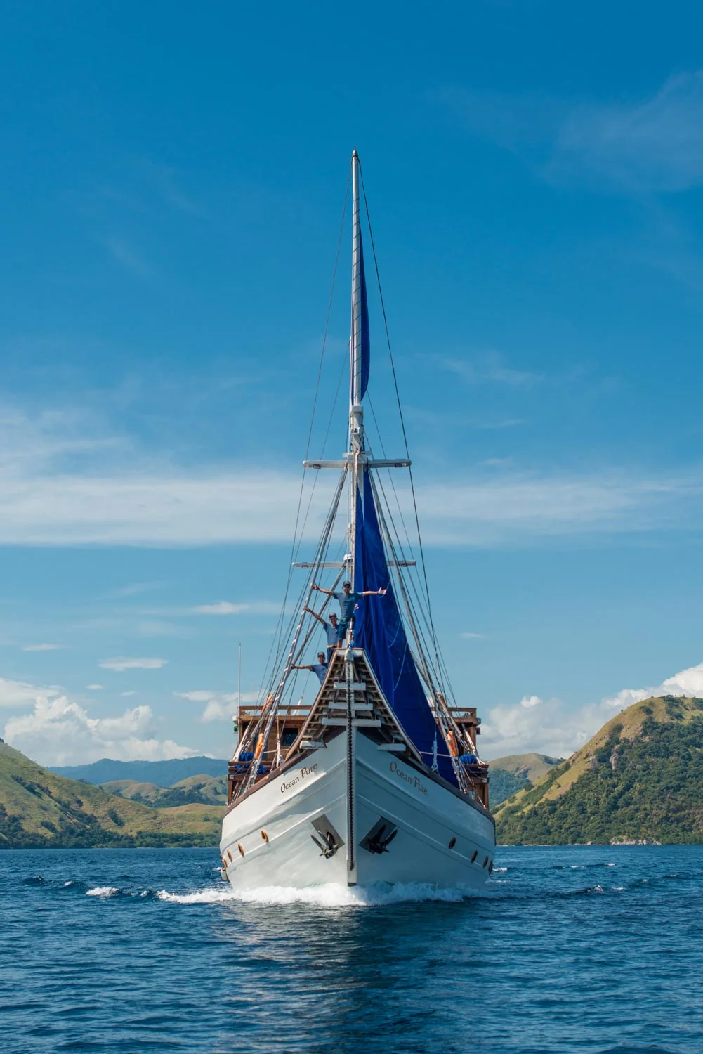 Ocean-Pure-front-view-sailing.jpg