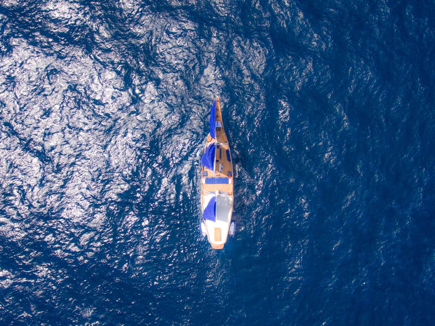 Ocean-Pure-top-sailing-view.jpg