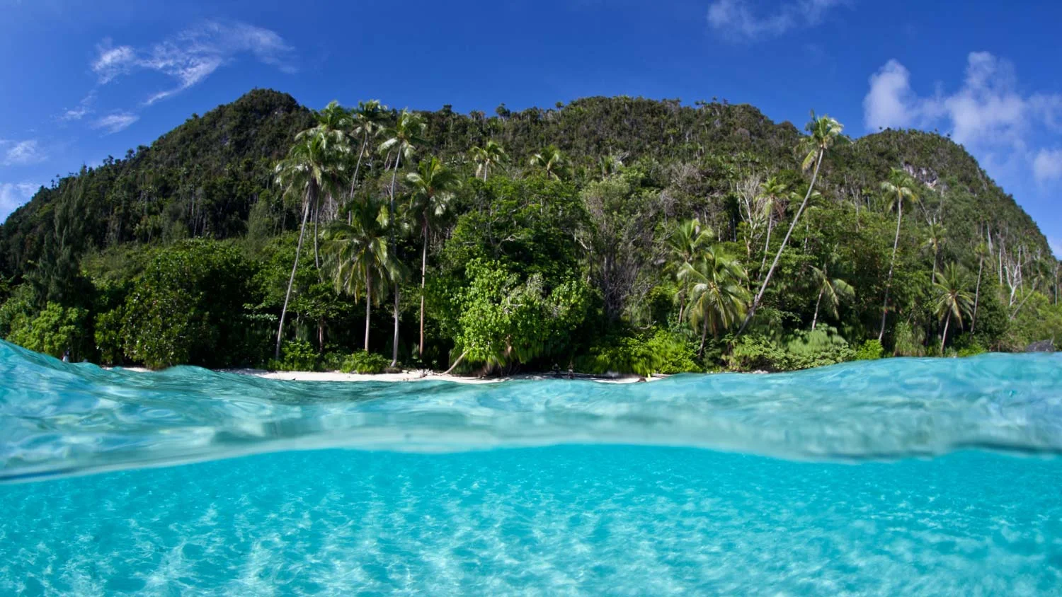 Raja-ampat.jpg