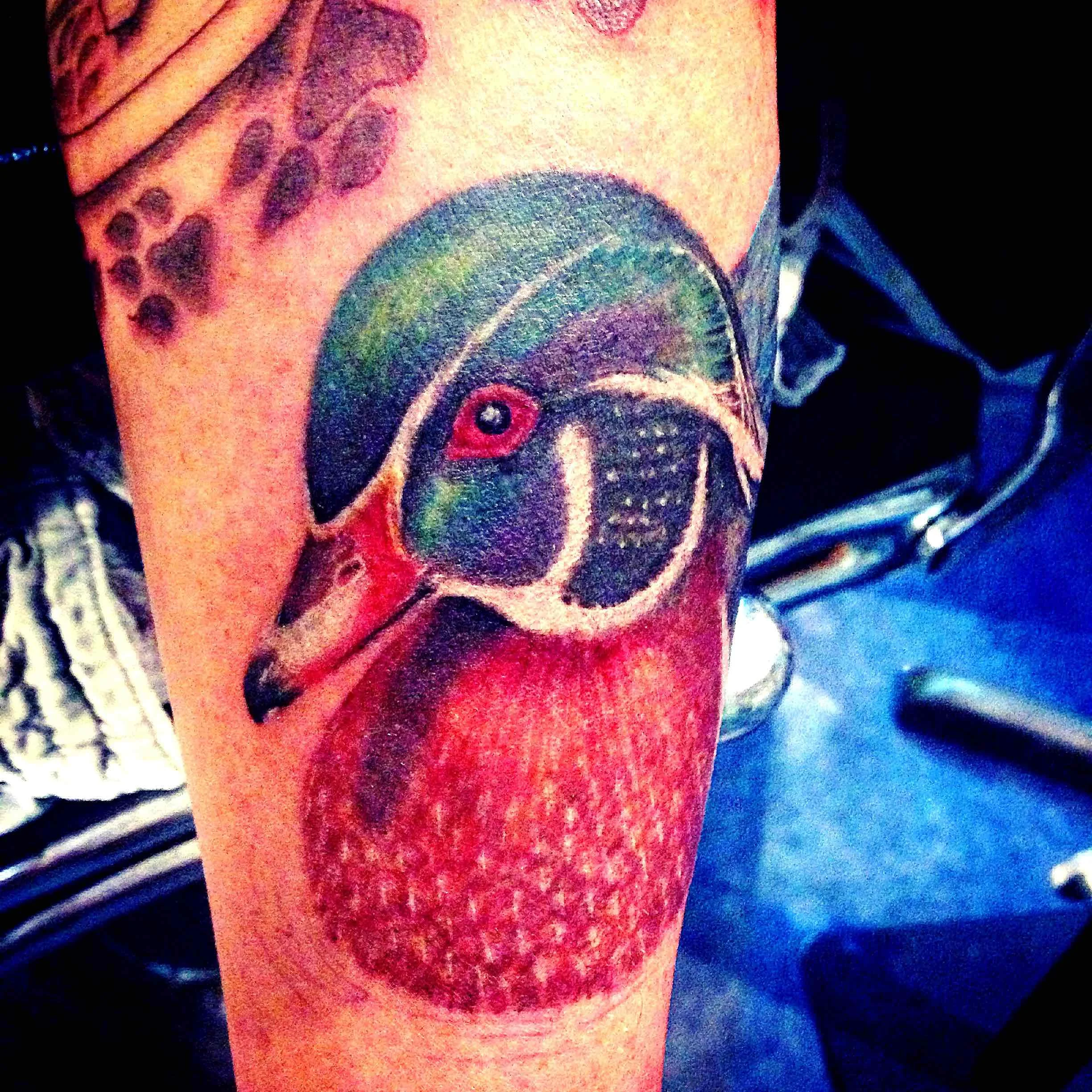 Wood Duck Tattoo