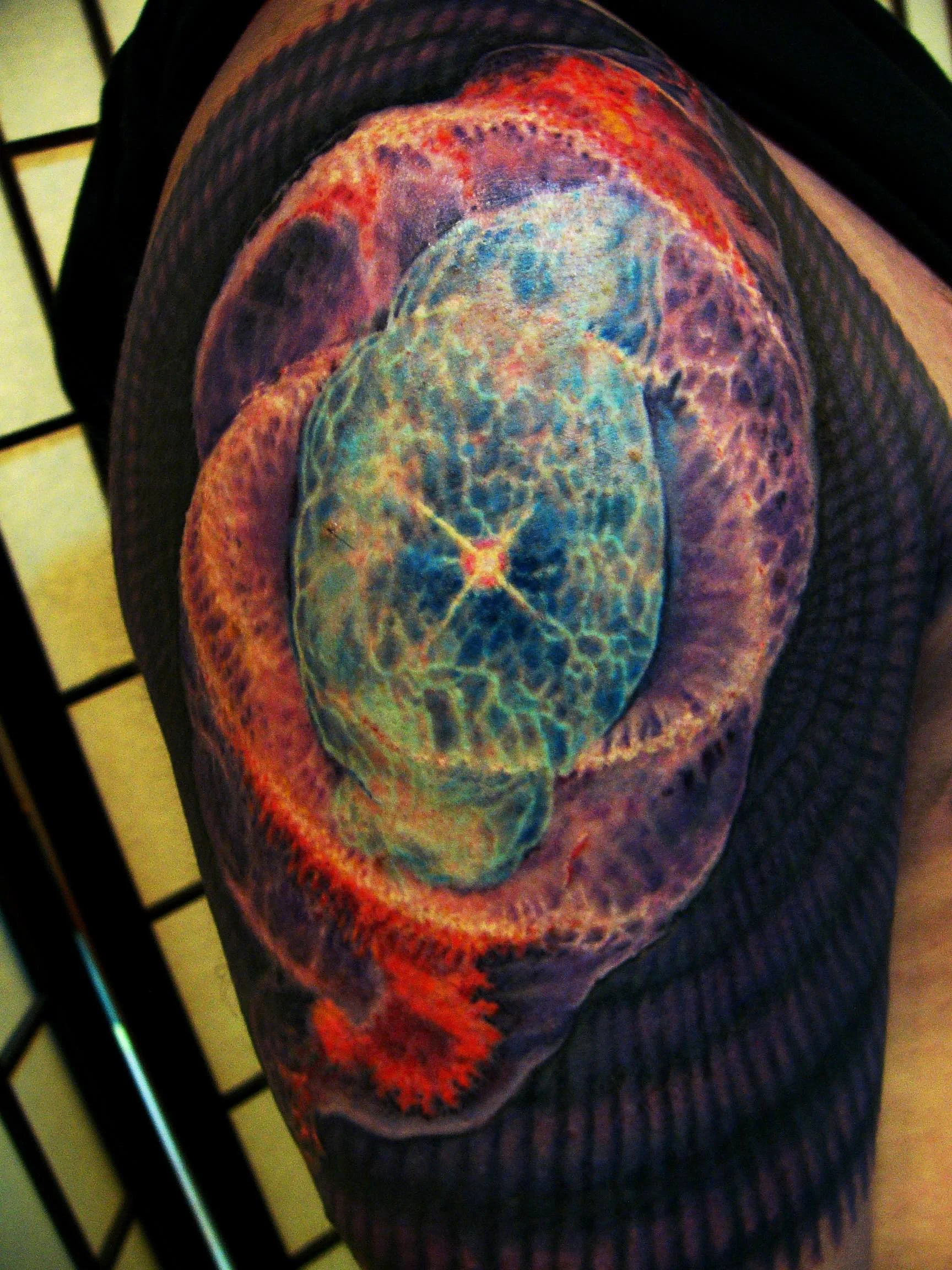 Nebula