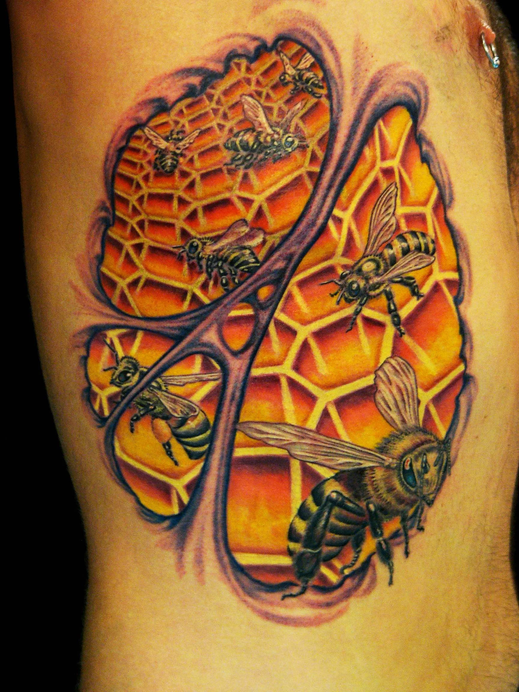 bee hive