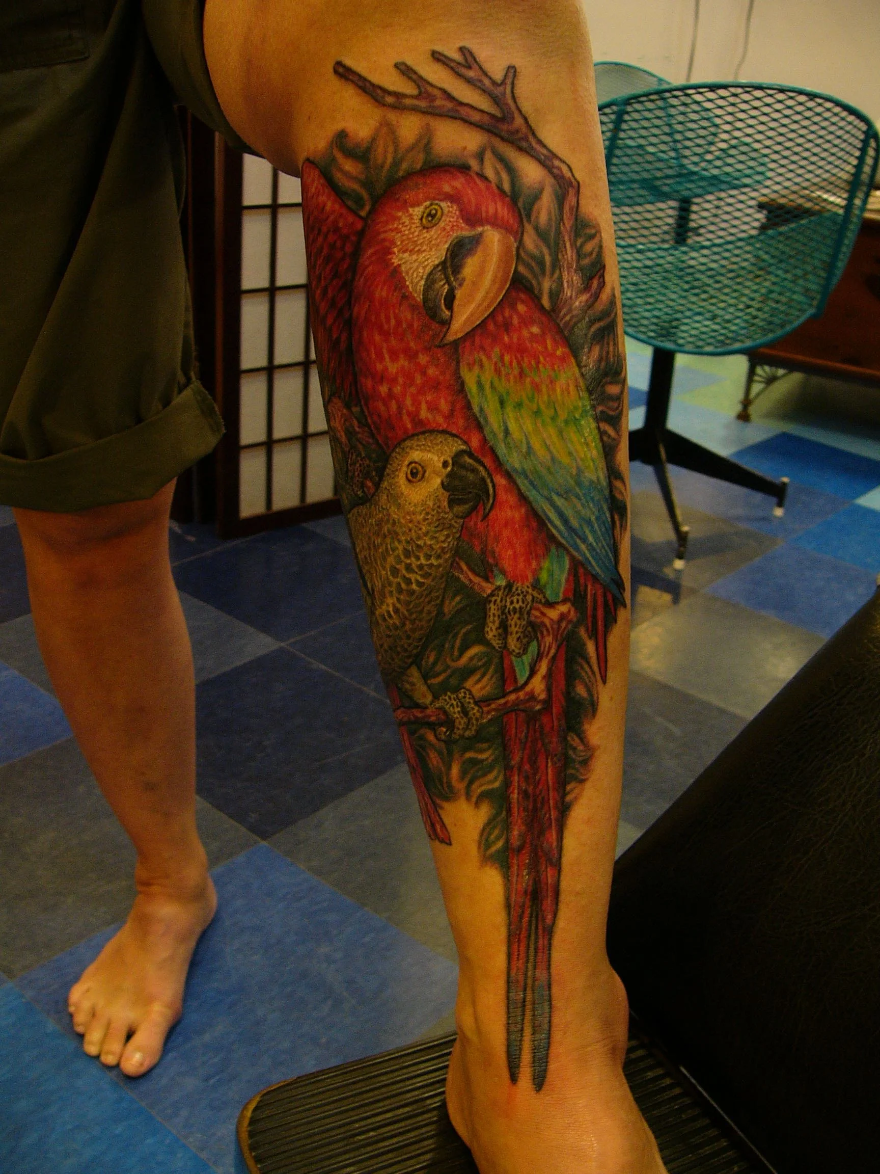 parrots