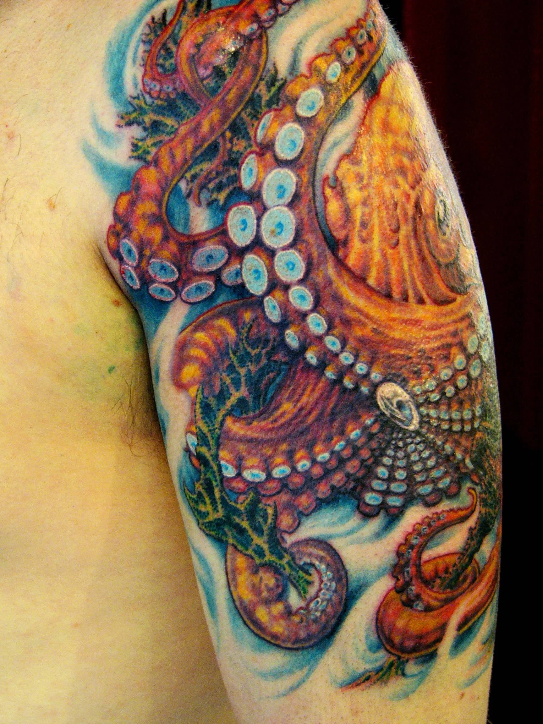 octopus