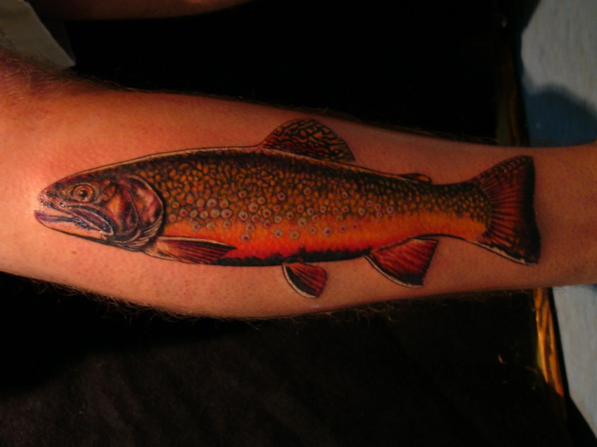 trout