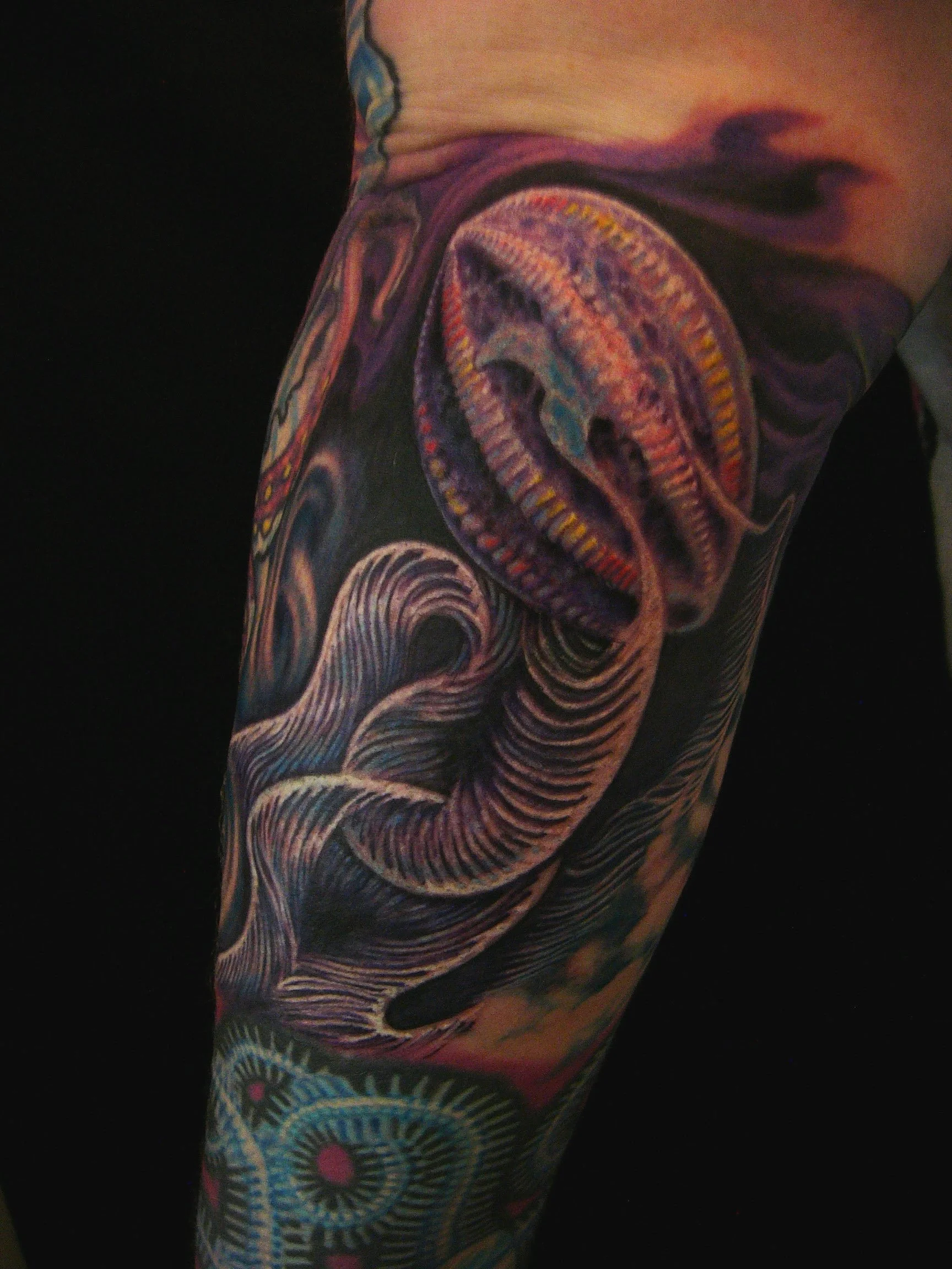 jellyfish x