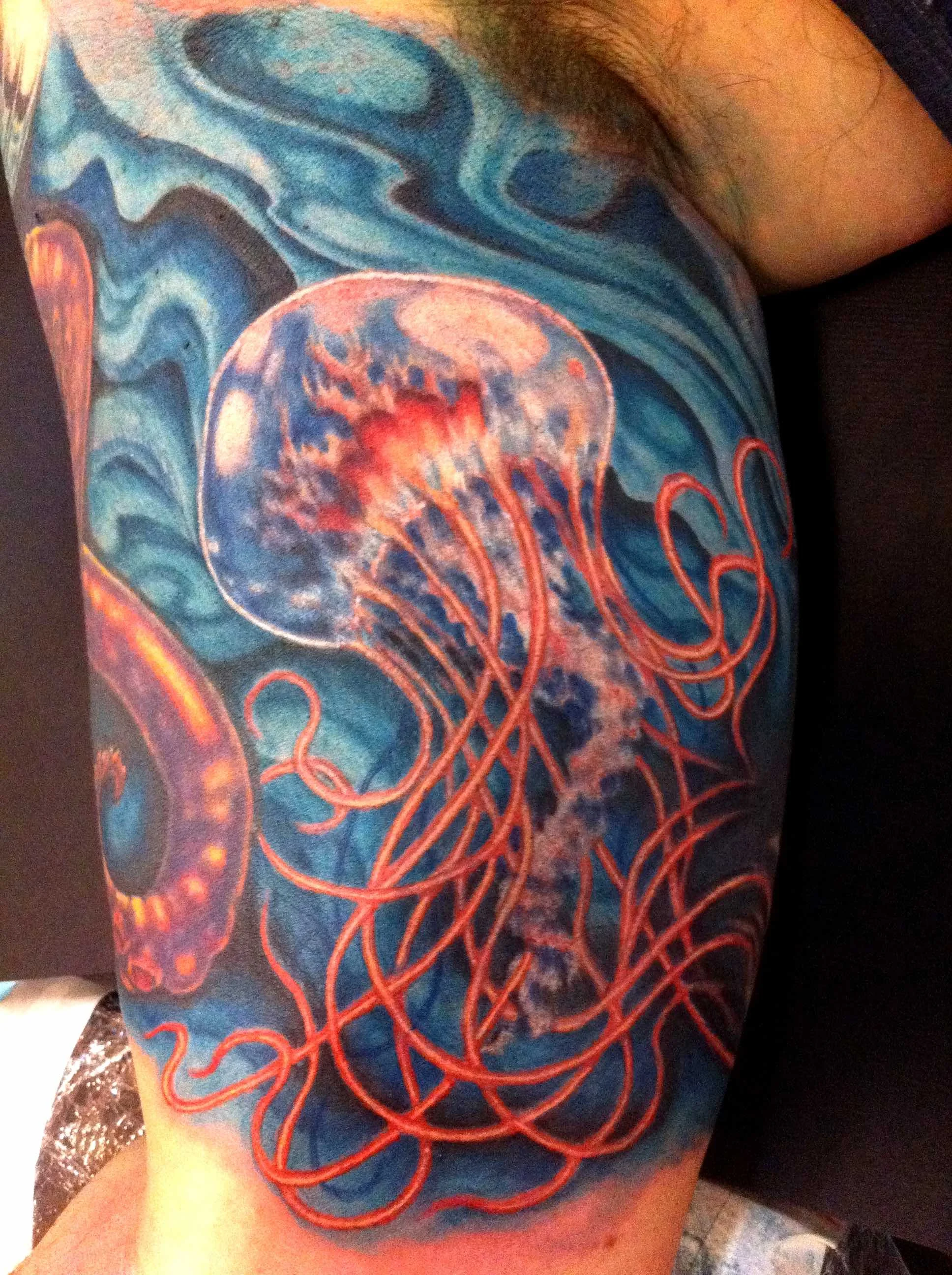 jellyfish