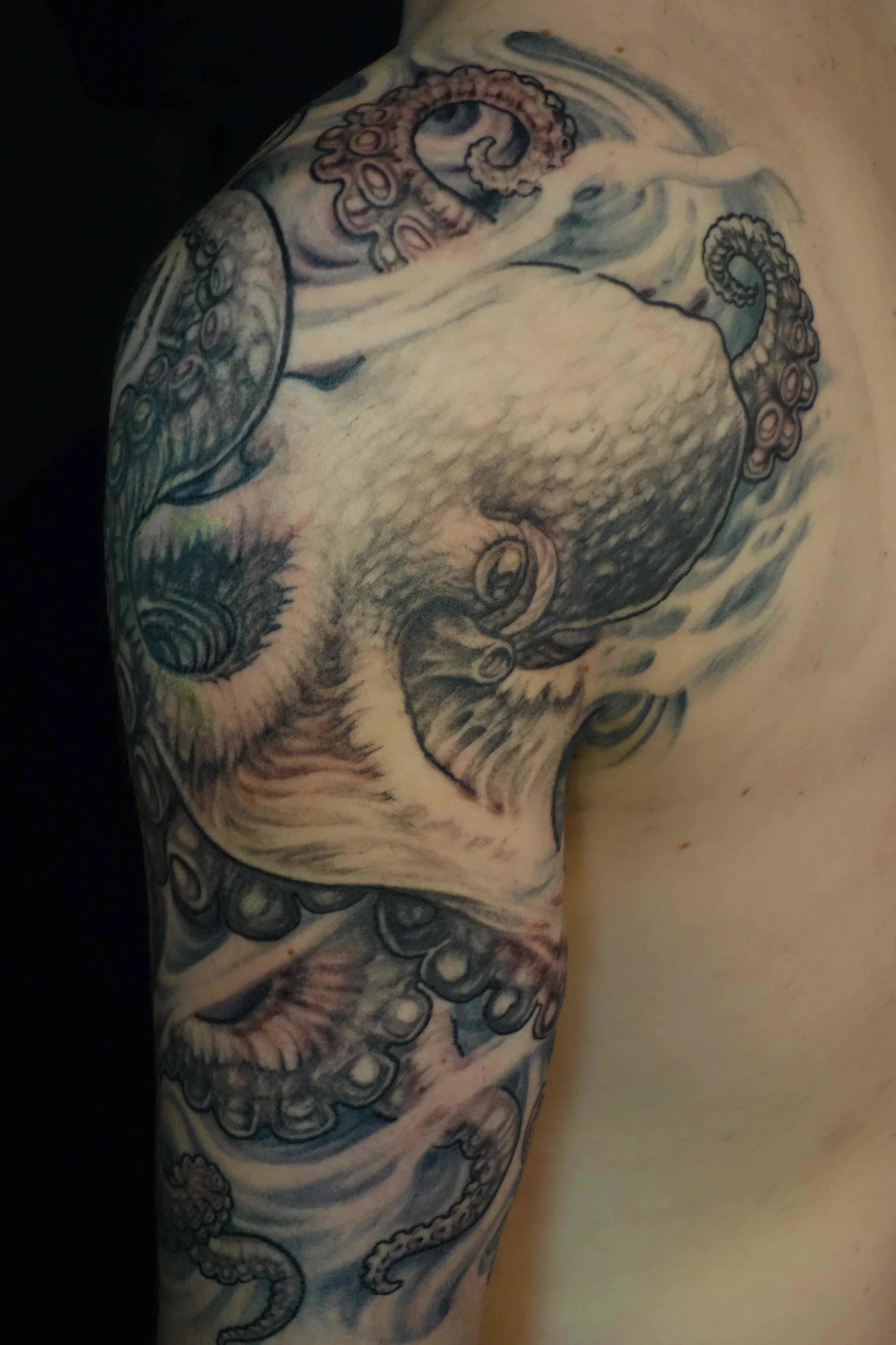 octopus black and grey