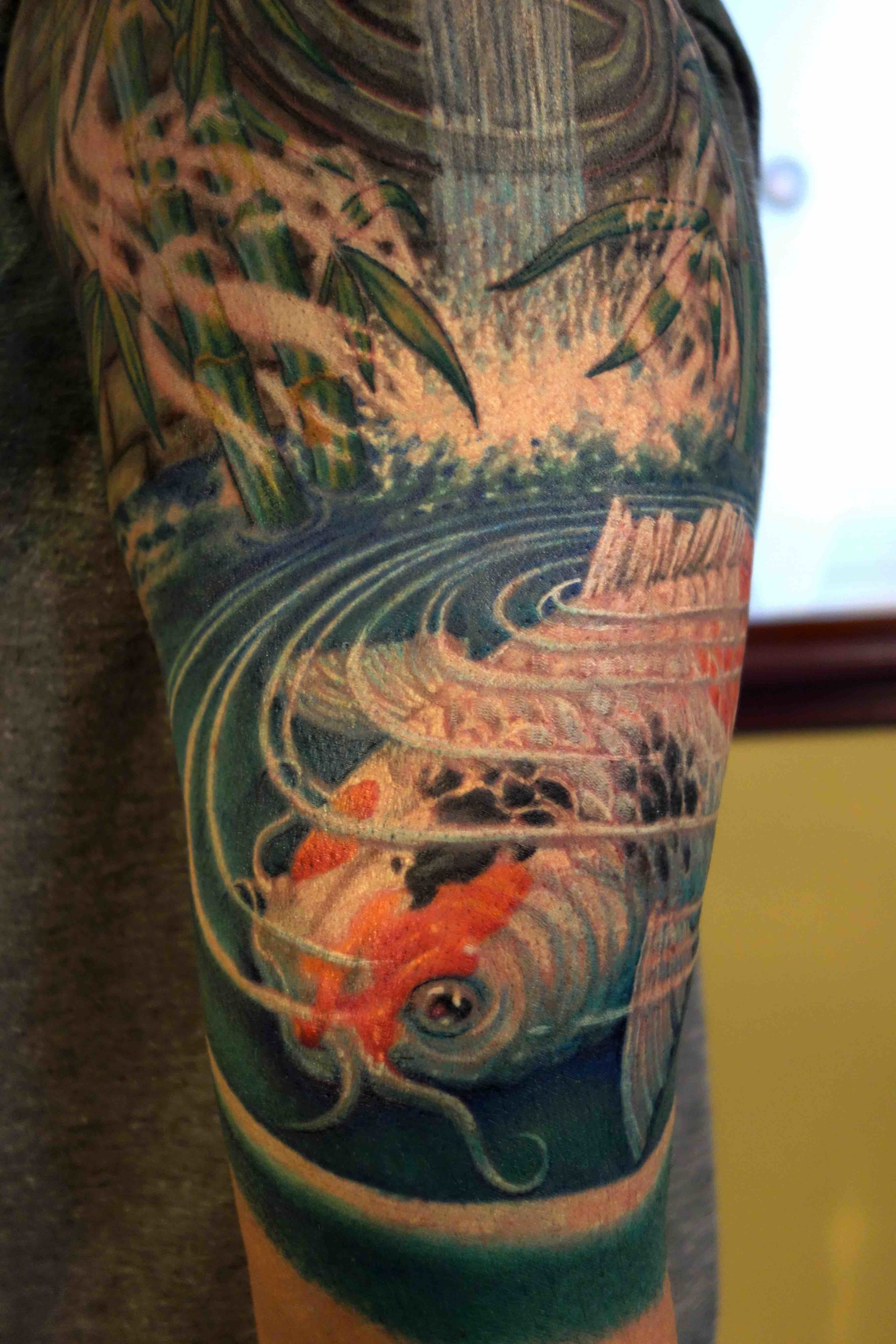 koi fish