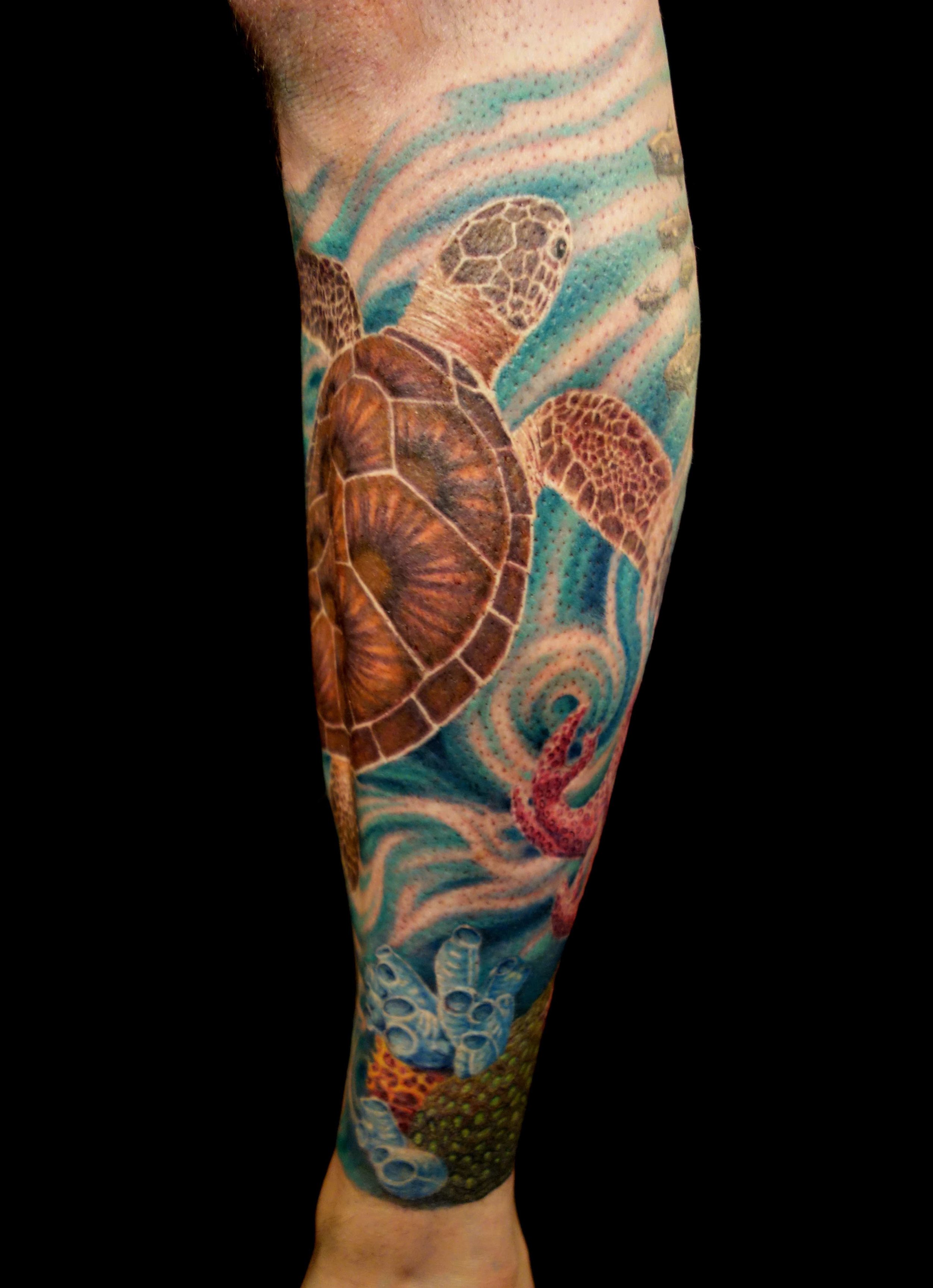 sea turtle