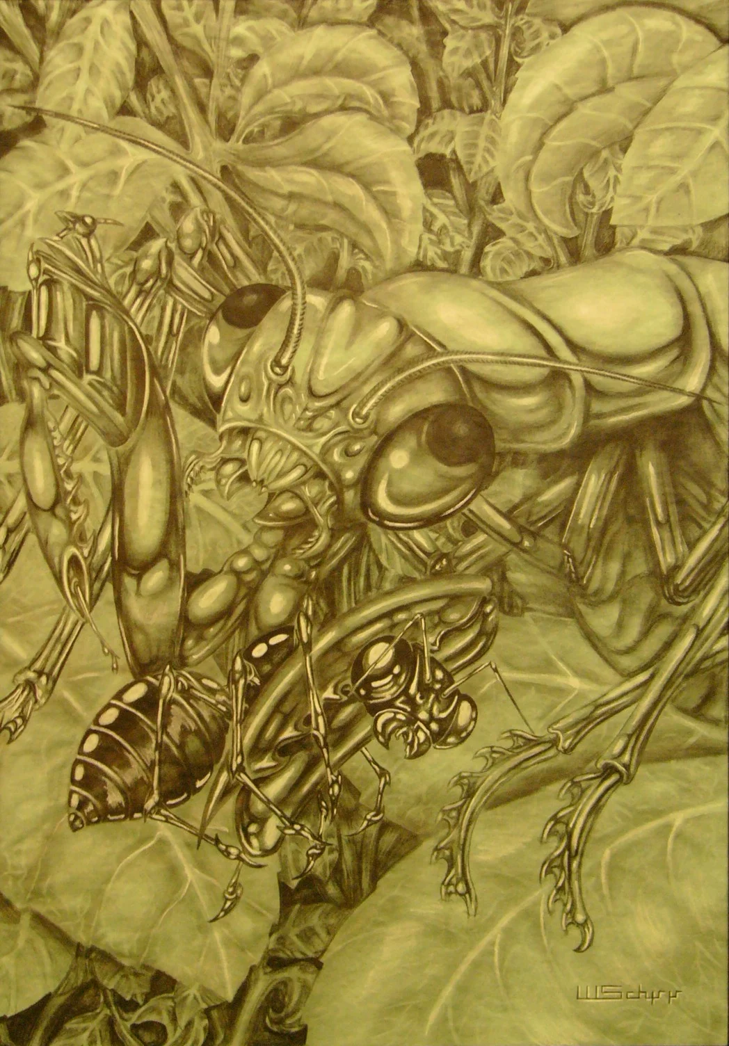 mantis ant