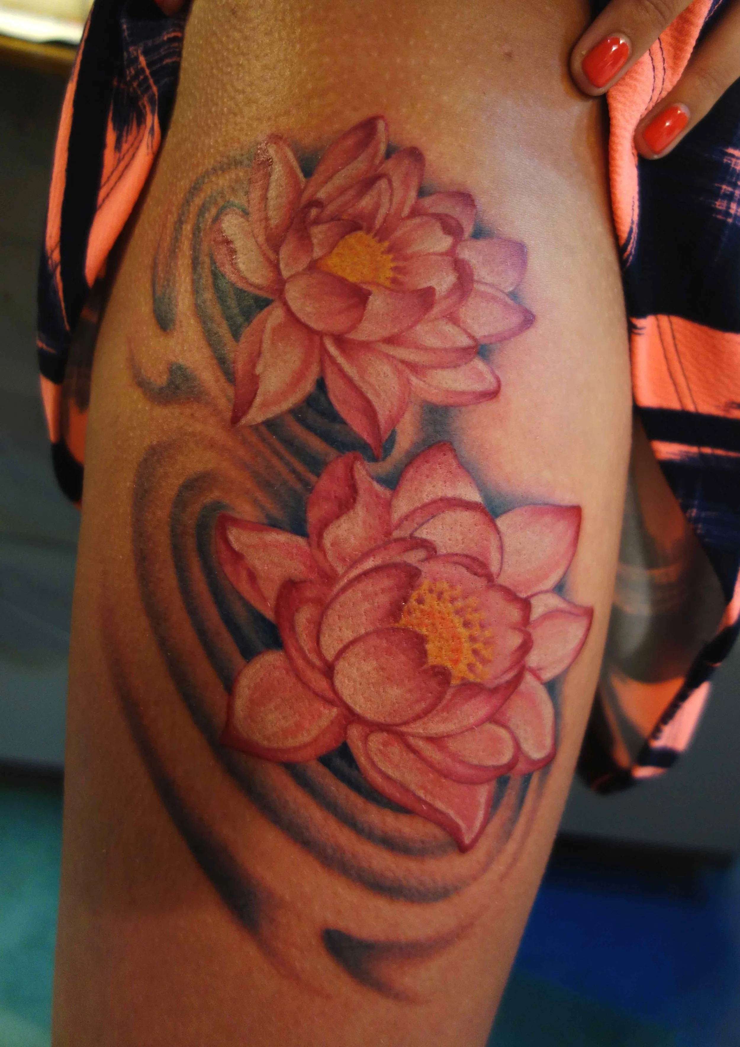 lotus flowers