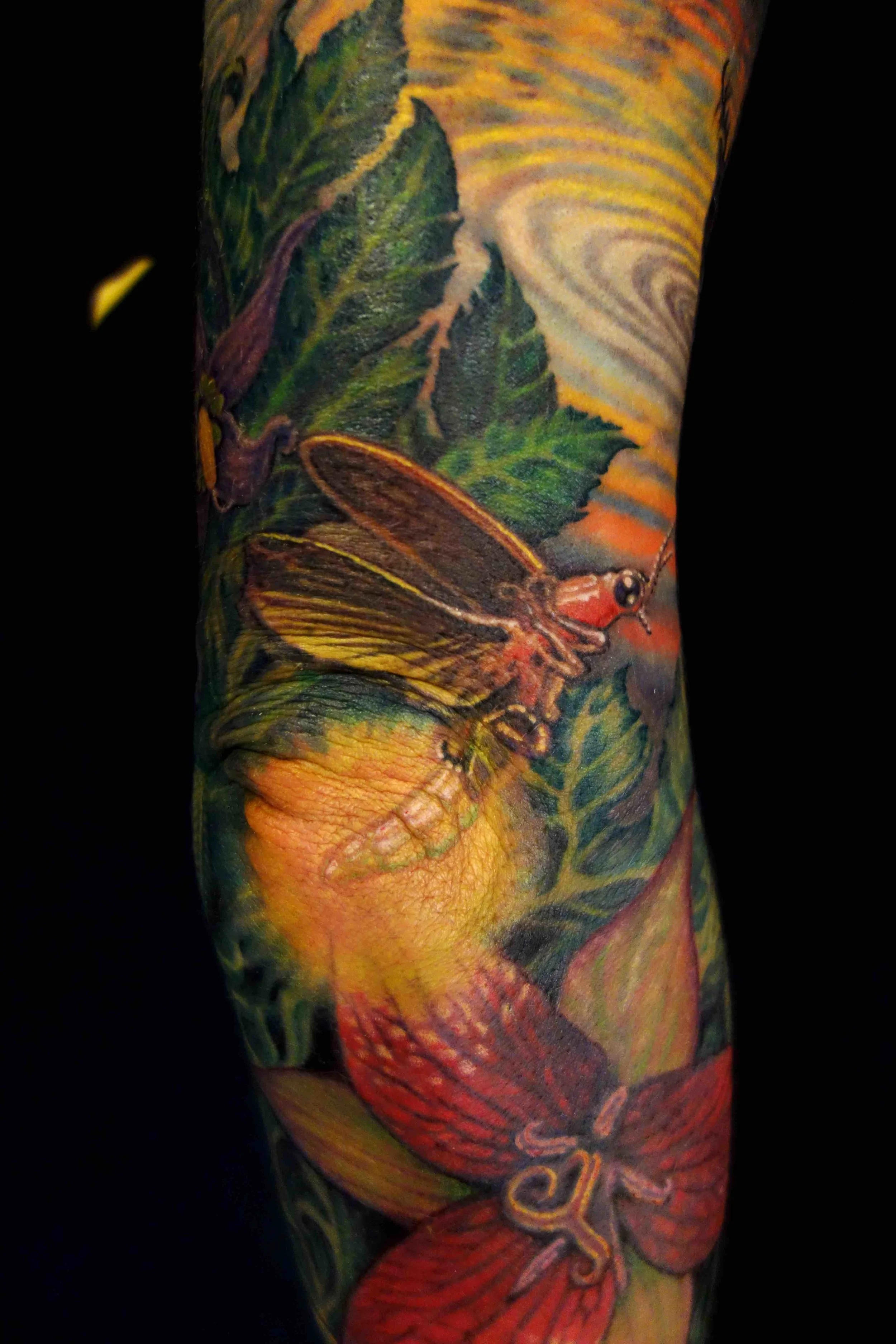 Maine sleeve