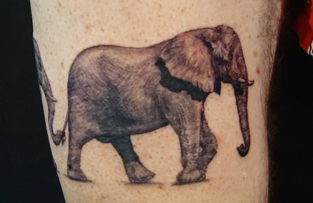 elephant family.jpg