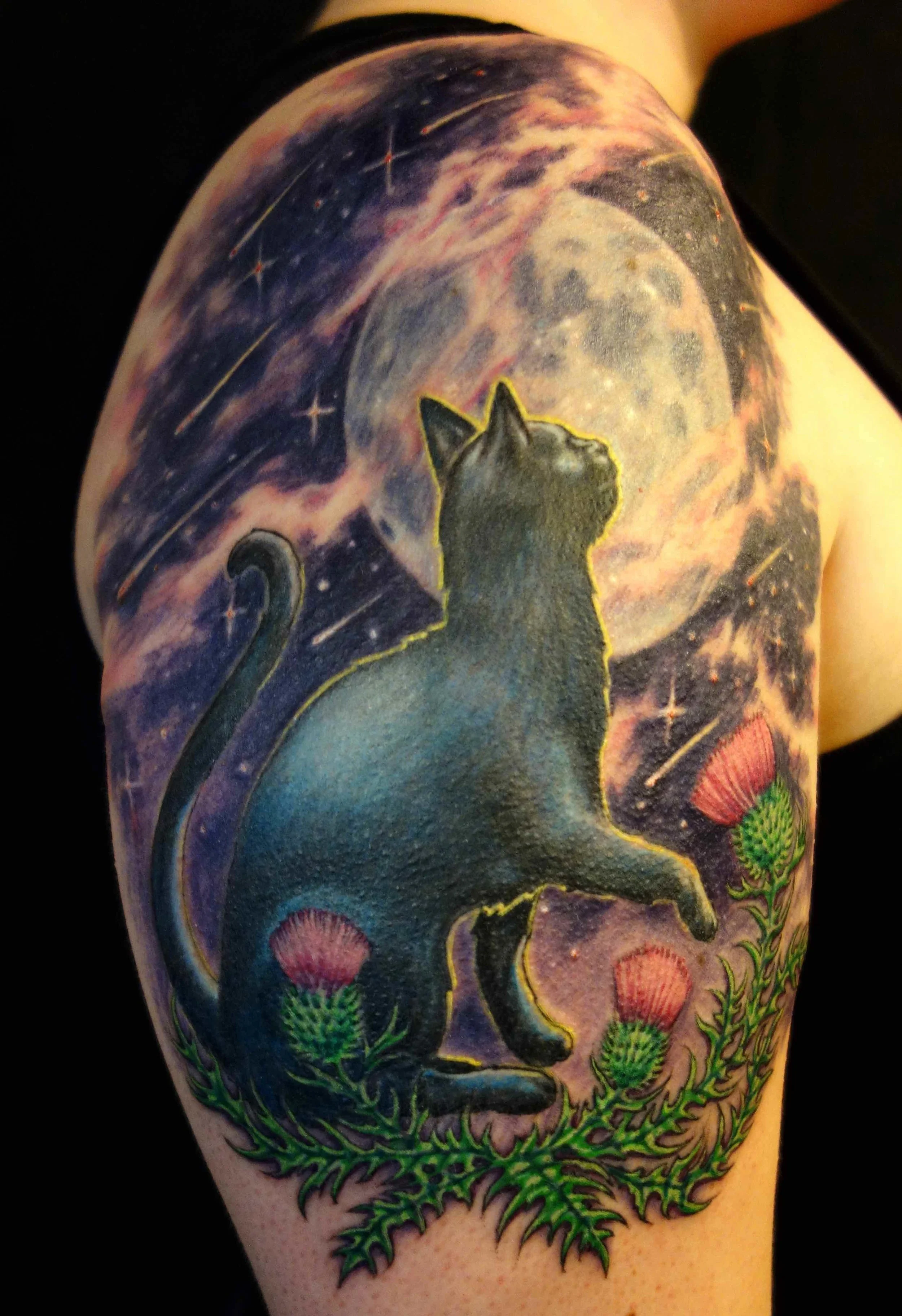 mooncat.jpg