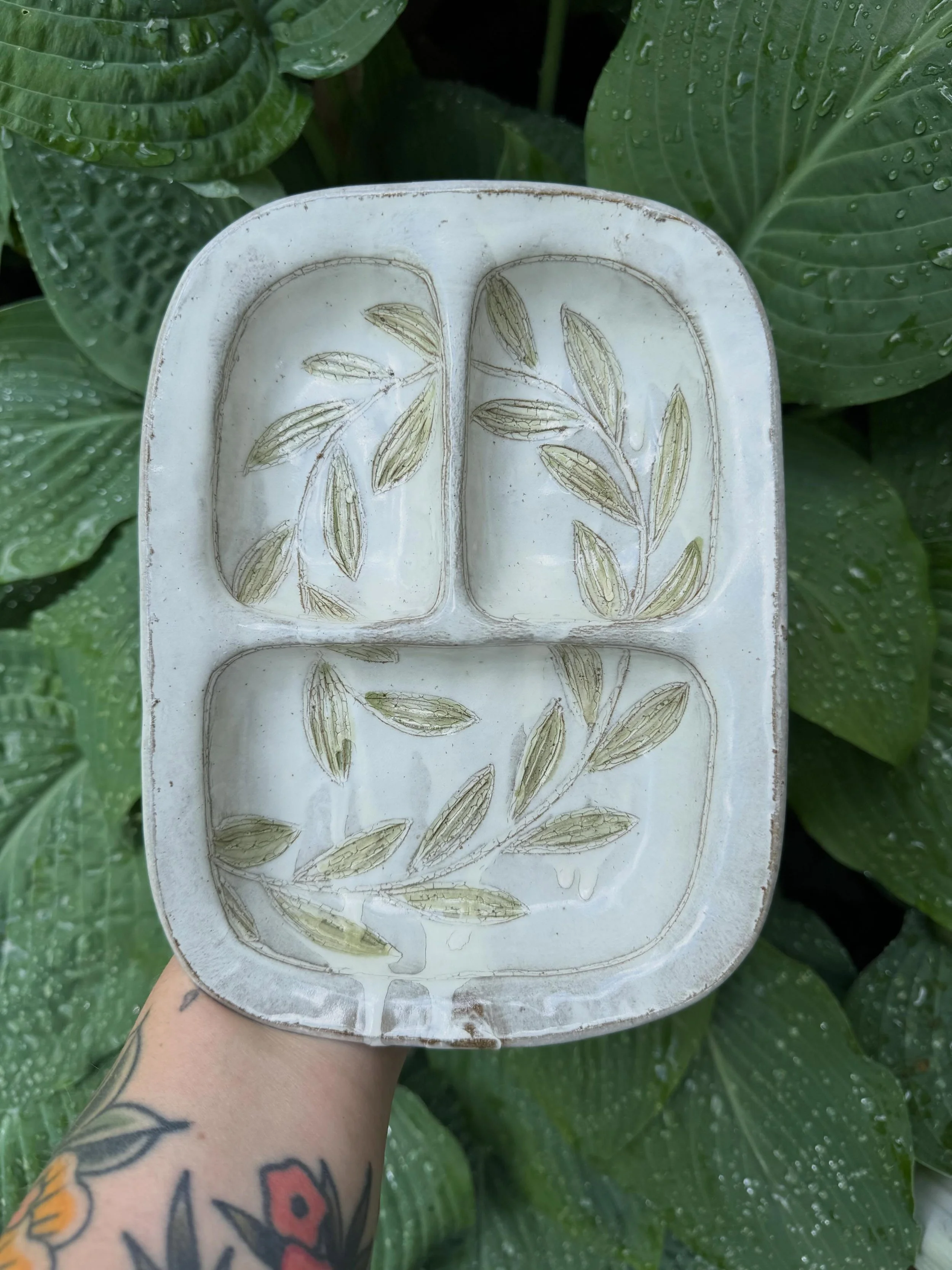 Rainy days make for water droplets on hosta leaves.