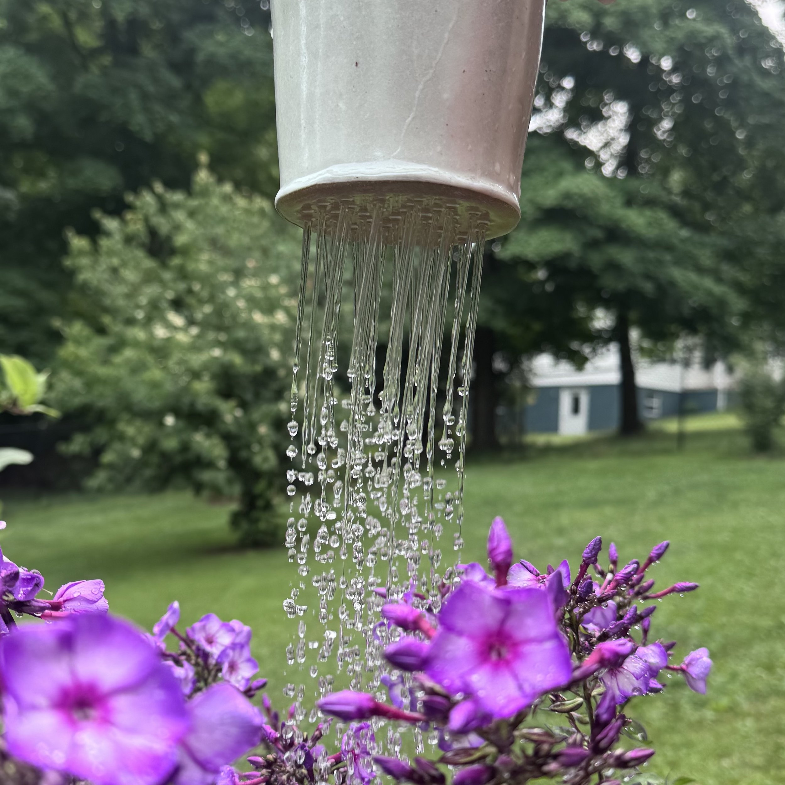 IMG_1751.jpeg