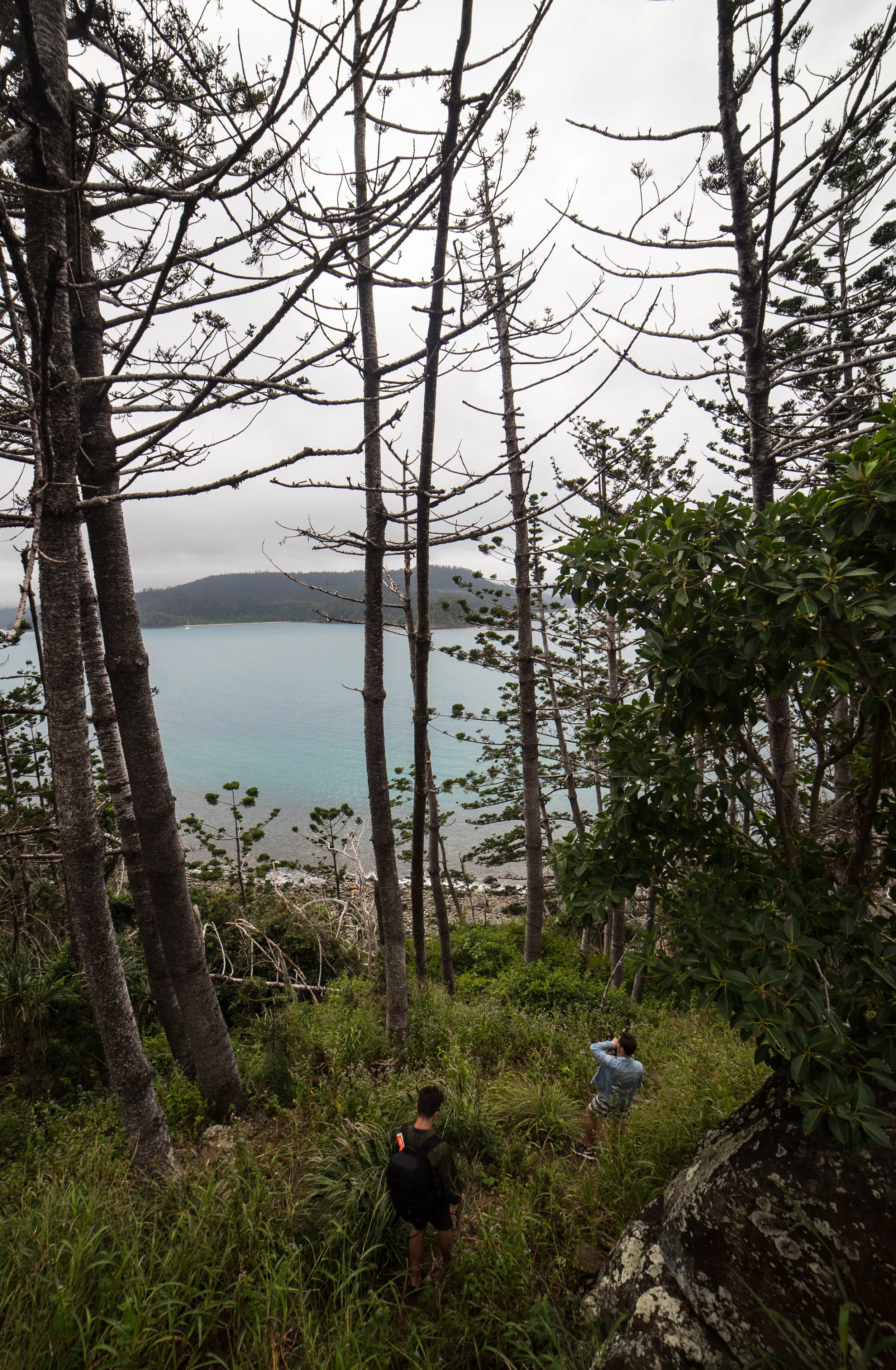 DSC02091.jpg