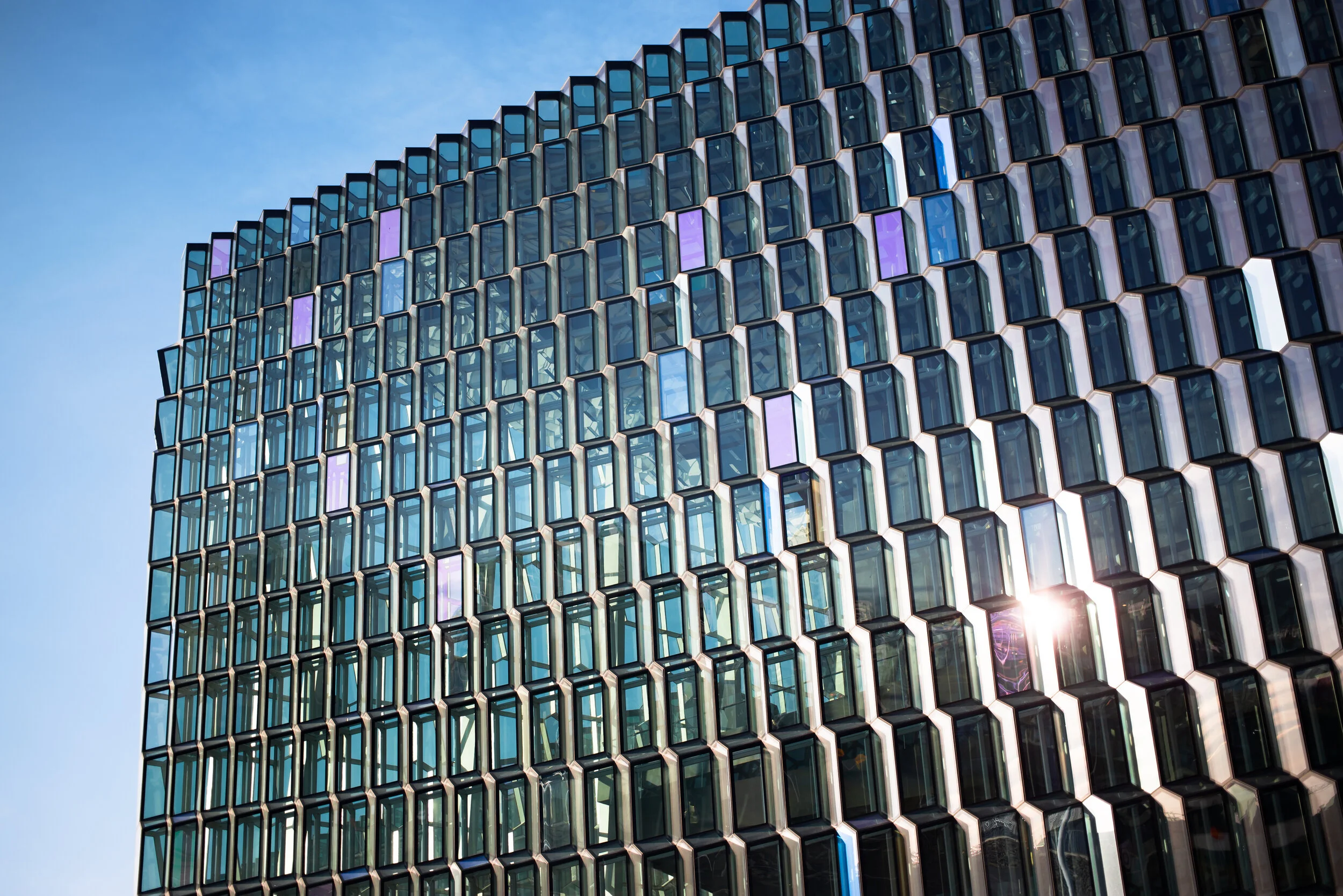 Harpa (Copy)
