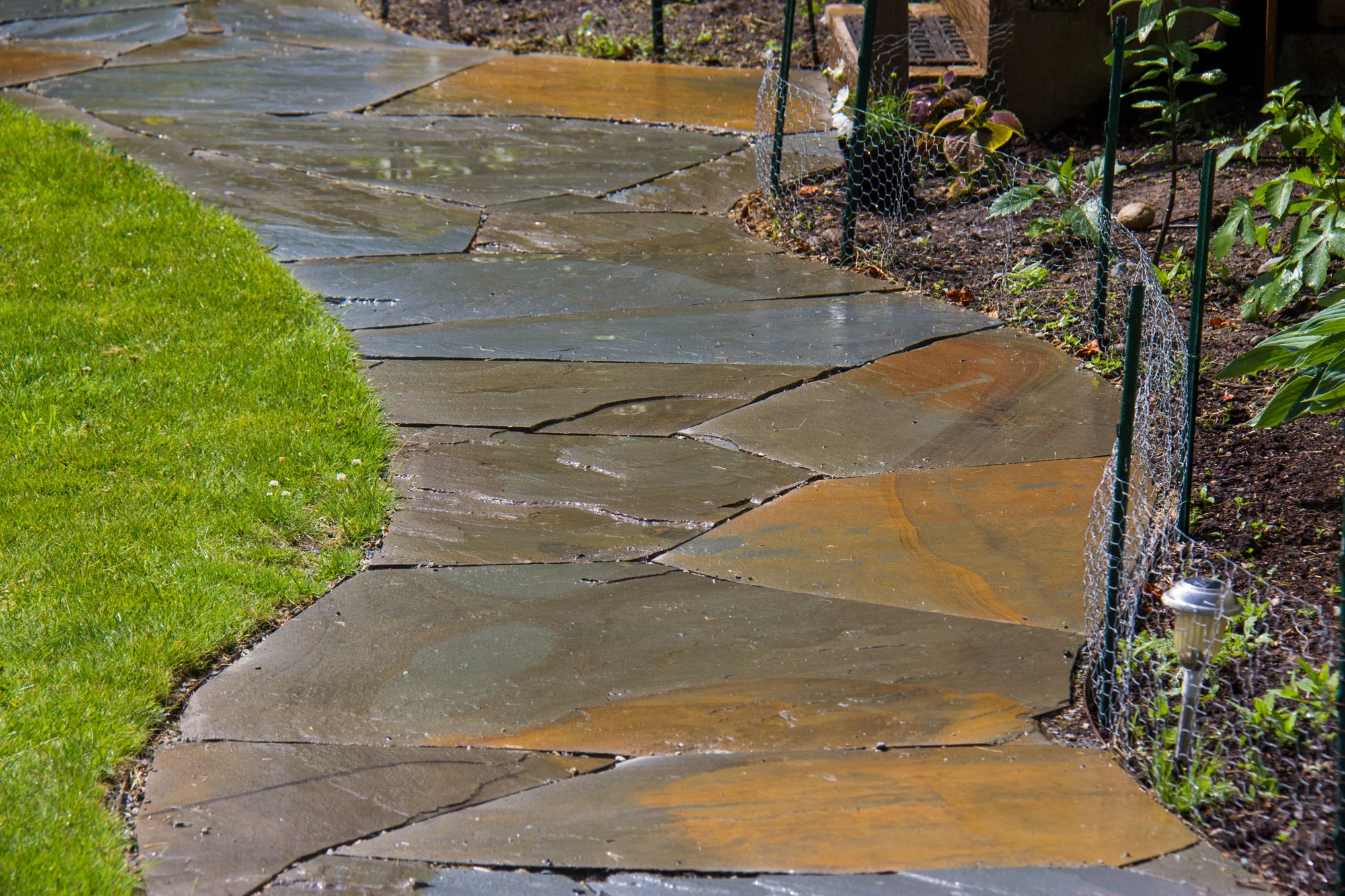 elree-pathway_5987.jpg
