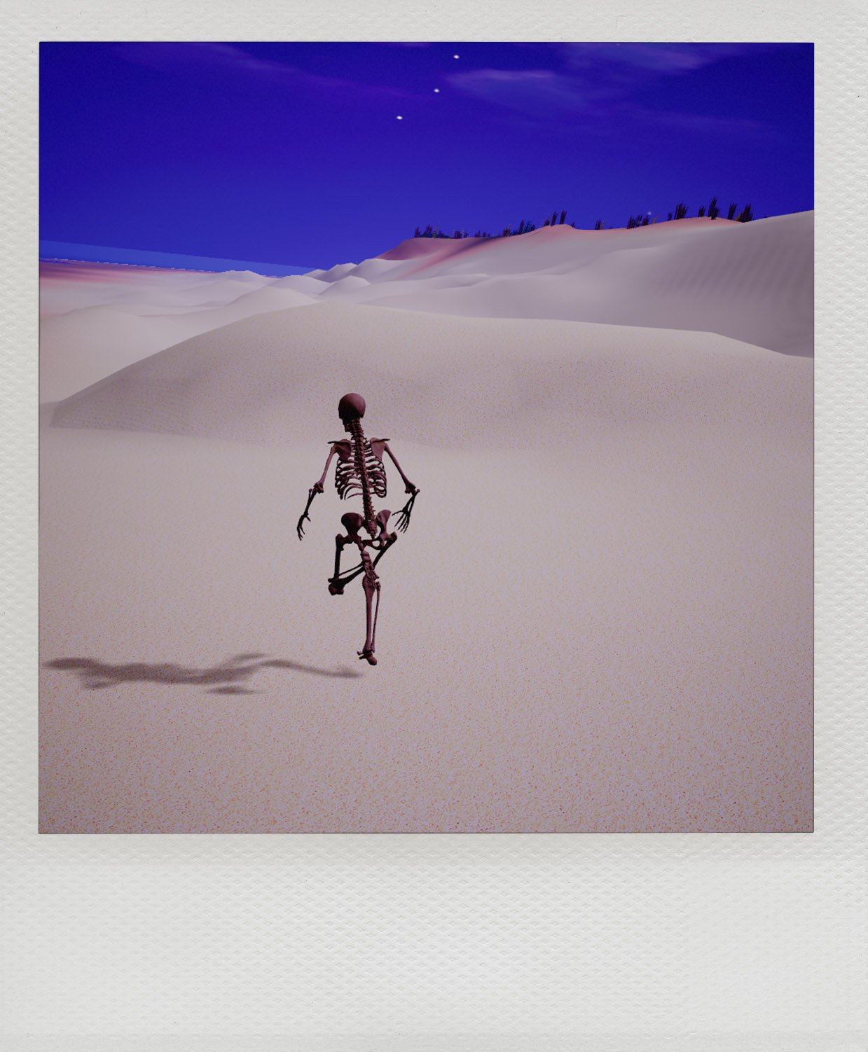 PolaroidSkeletonrun.jpg