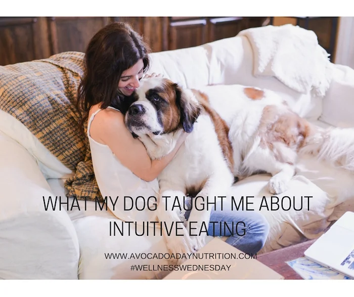 What My Dog Taught Me About Intuitive Eating &amp; Binges