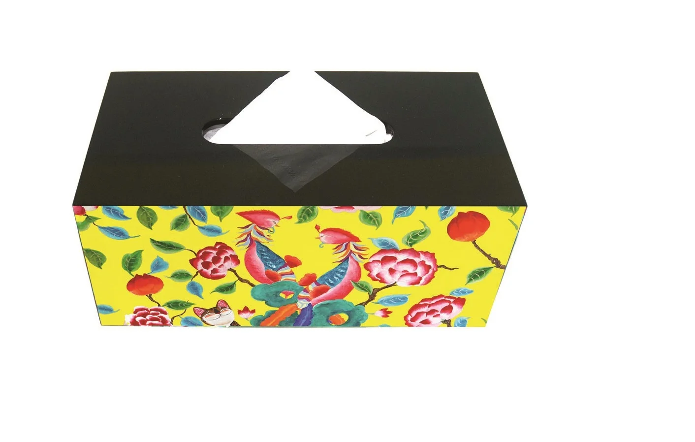 Paul-Tissue-Rec-Blk-resize.jpg