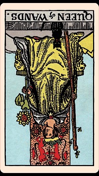 The Card of the Day: The Queen of Wands (Terbalik) — Elliot Oracle - Pembacaan Kartu Tarot