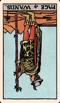 The Card of the Day: The Page of Wands (Terbalik) — Elliot Oracle - Pembacaan Kartu Tarot